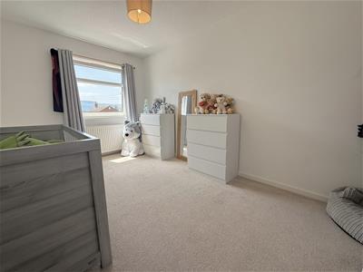 Picture 20